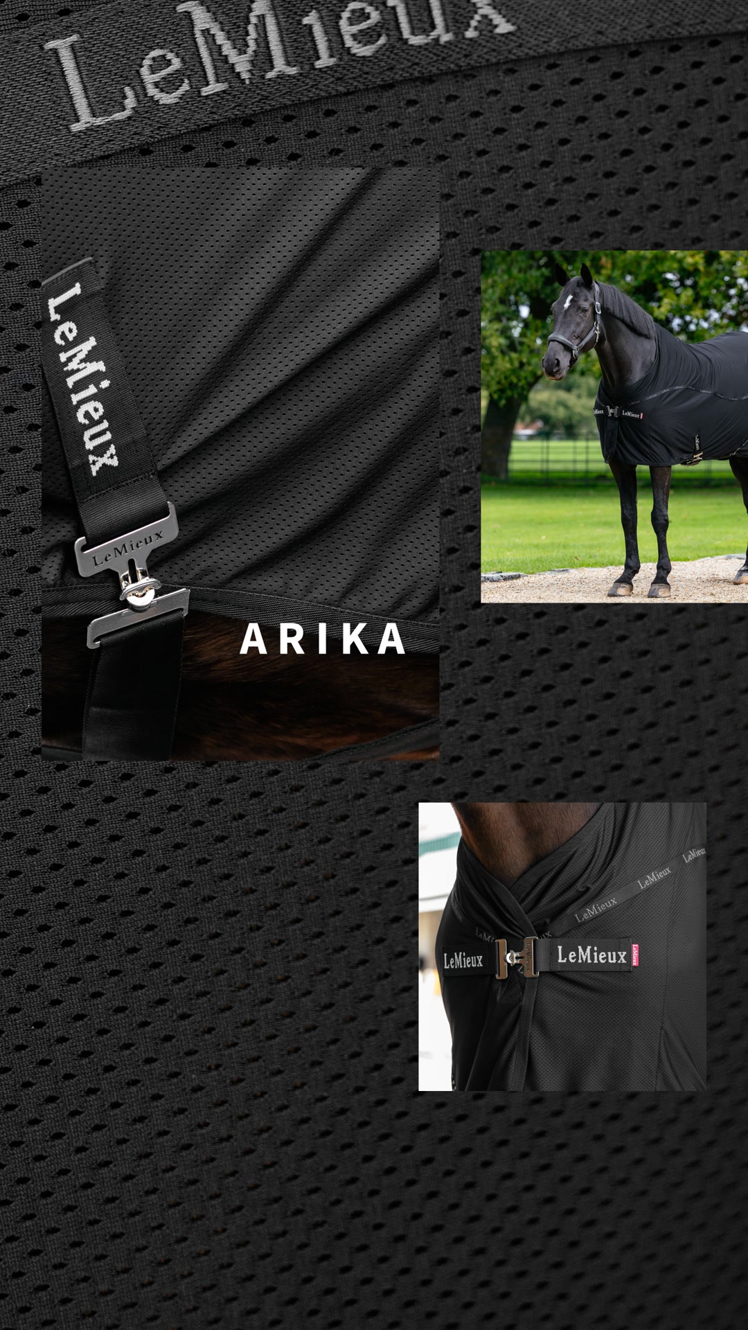 Arika Air-Tek Sheet | LeMieux