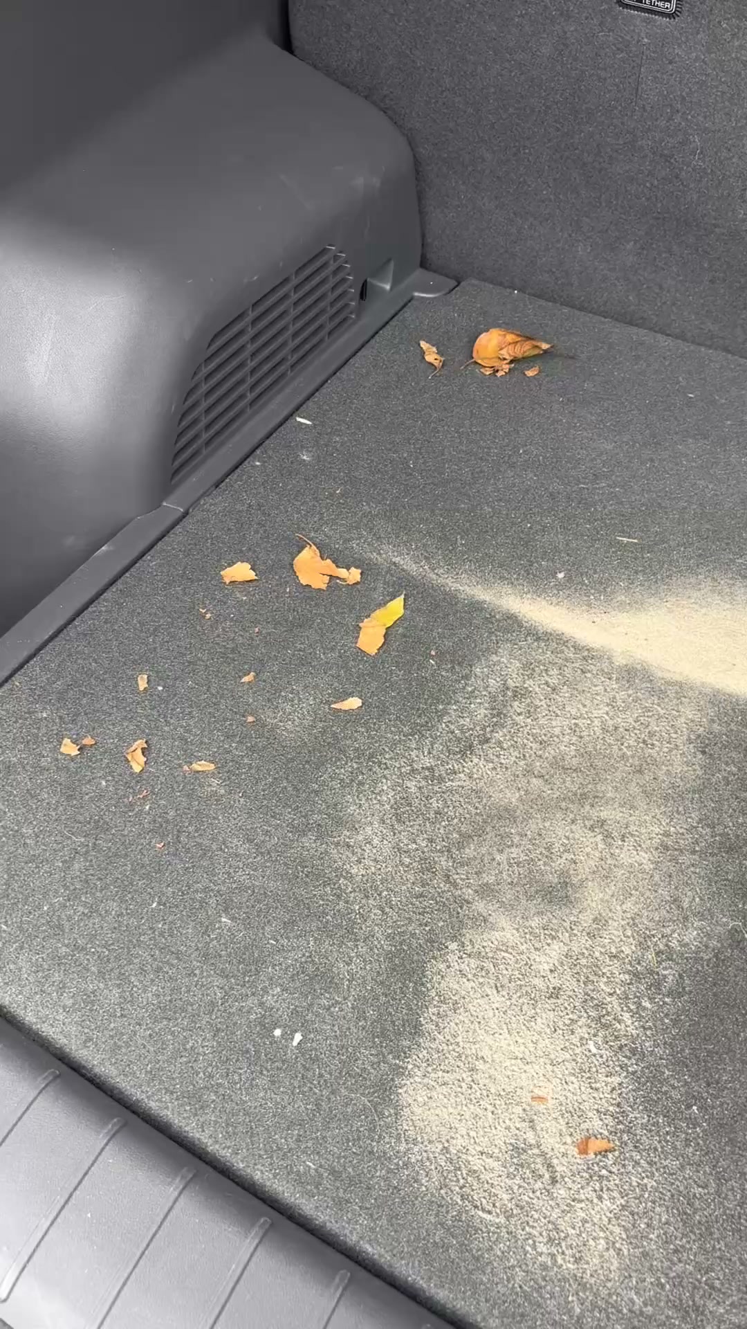 Haren en modder in je auto? Niet meer.