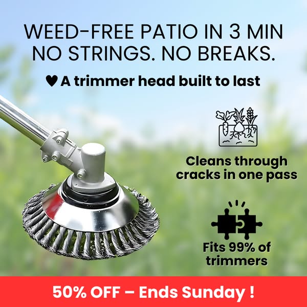 Limited-time offer