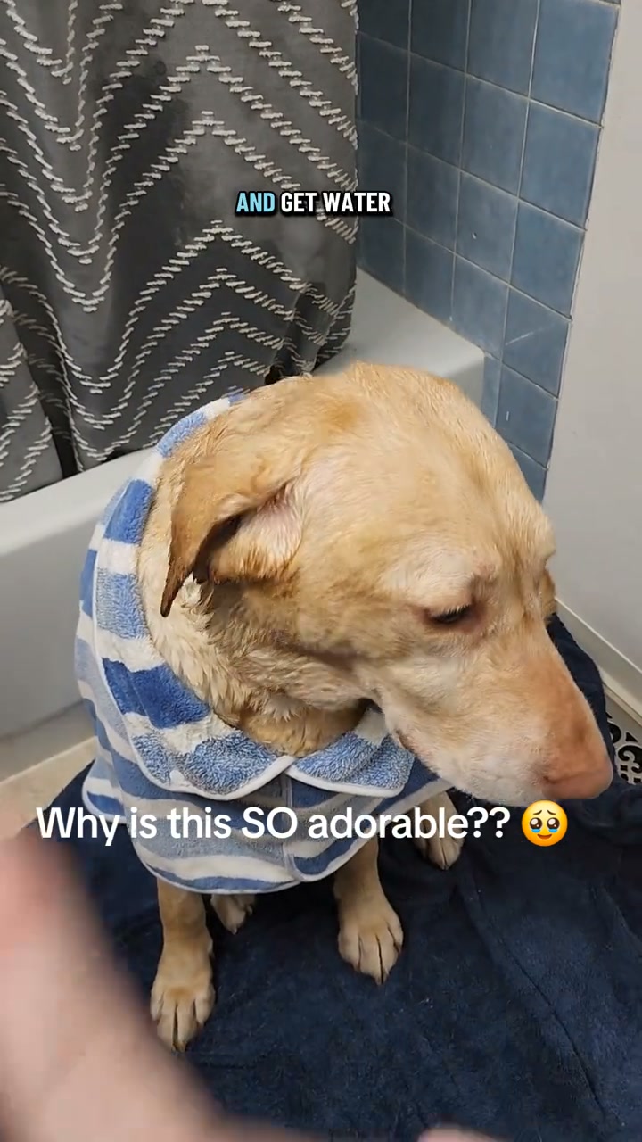 No more towel wrestling