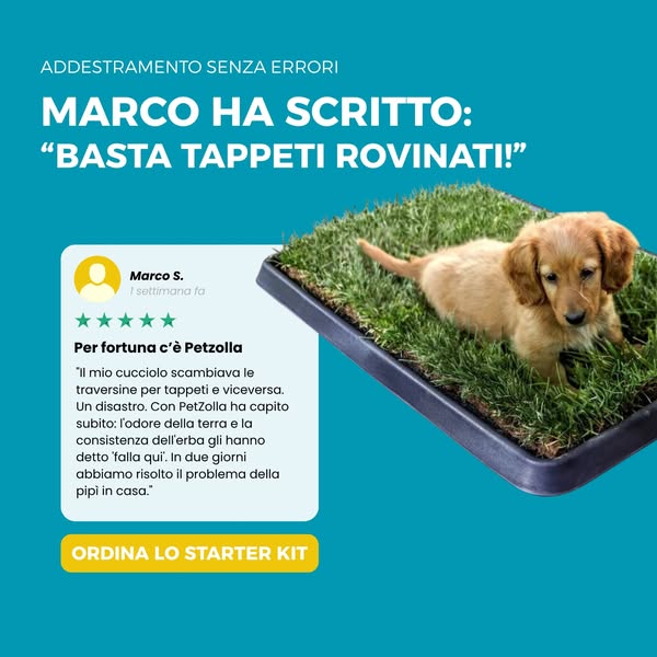 Provalo, zero addestramento