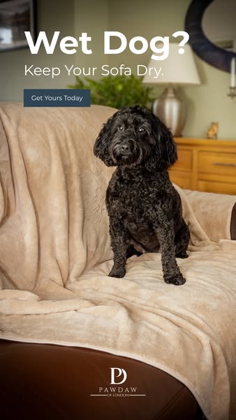 Award Winning Sofa Throws