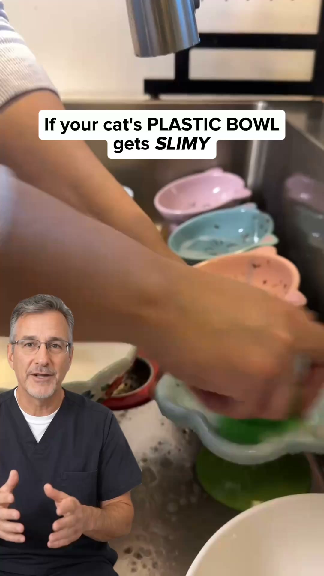 Stop giving your cat water in a bowl