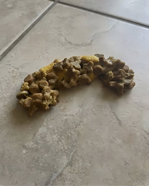 J'ai déjà perdu une chatte. Plus jamais ça.
