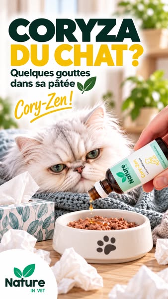 Coryza du chat ?