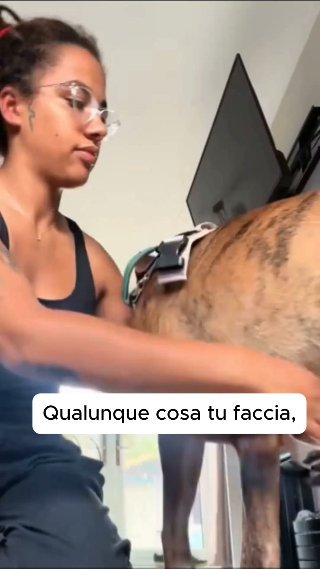 Il tuo cane non può smettere di tirare. Ecco perché