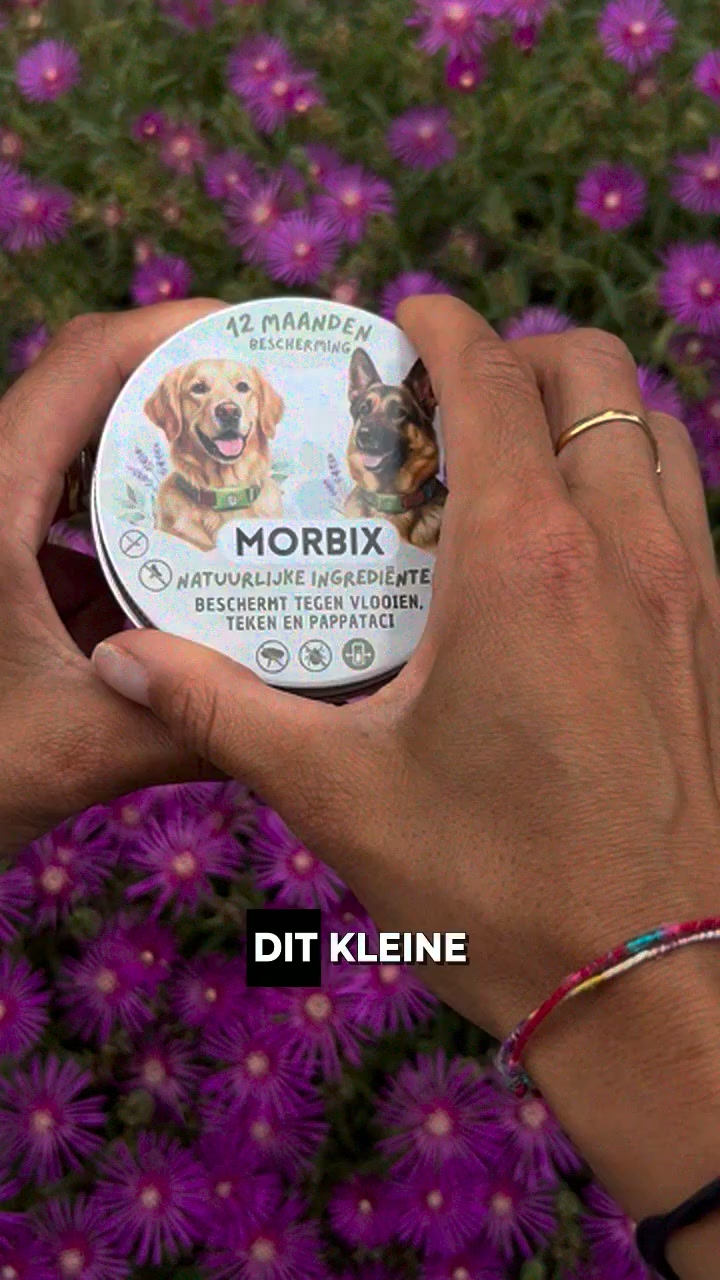 Geef je hond en jezelf rust, zonder chemische troep