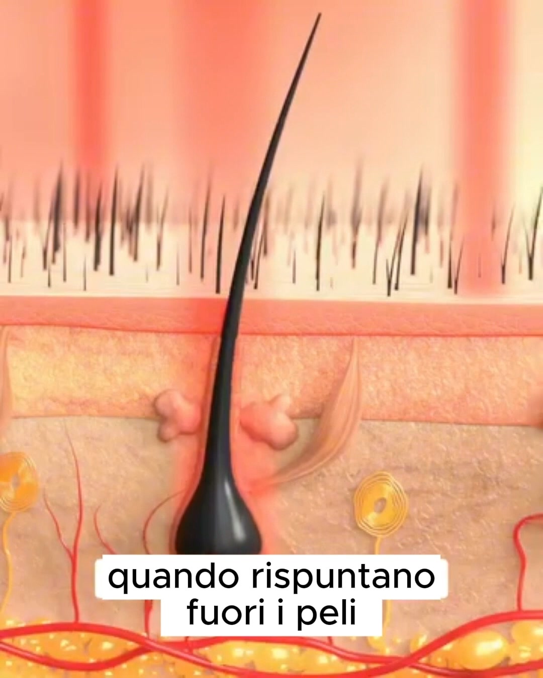 Desideri una depilazione viso senza irritazioni?