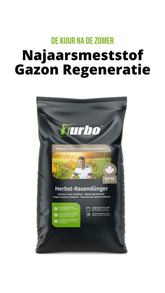 Je gazon redden na de zomer