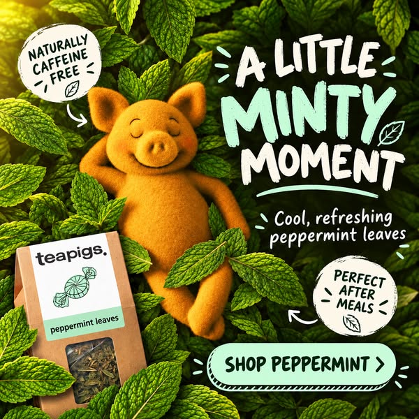 A little minty moment