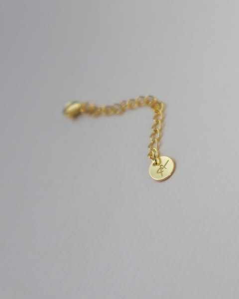 Basic Chain Extender 2 Inches
