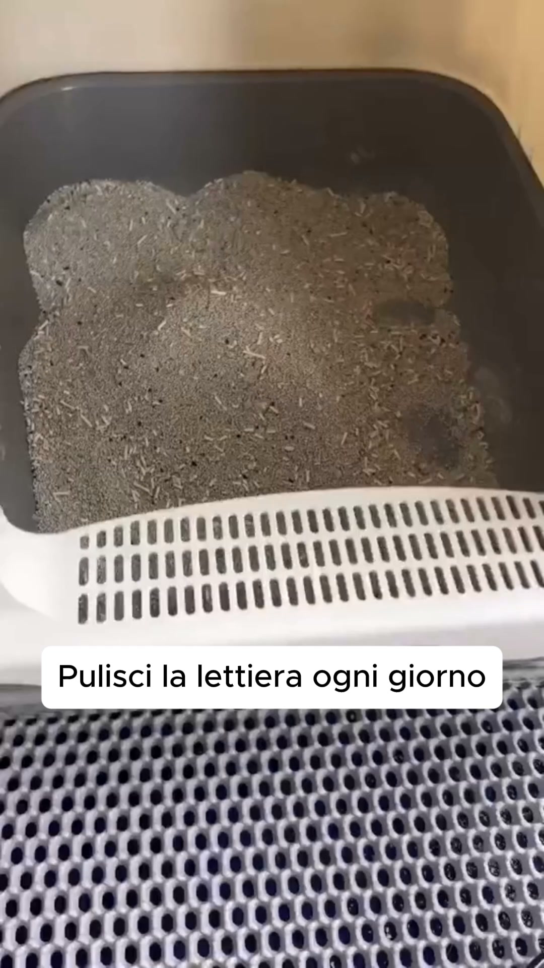 Mai più odore di lettiera
