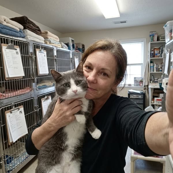 Holistic Vet Exposes