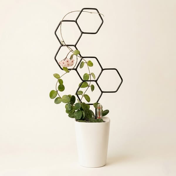Metalowa podpórka do roślin w stylu loft Honey – kultowy design od Leaflo