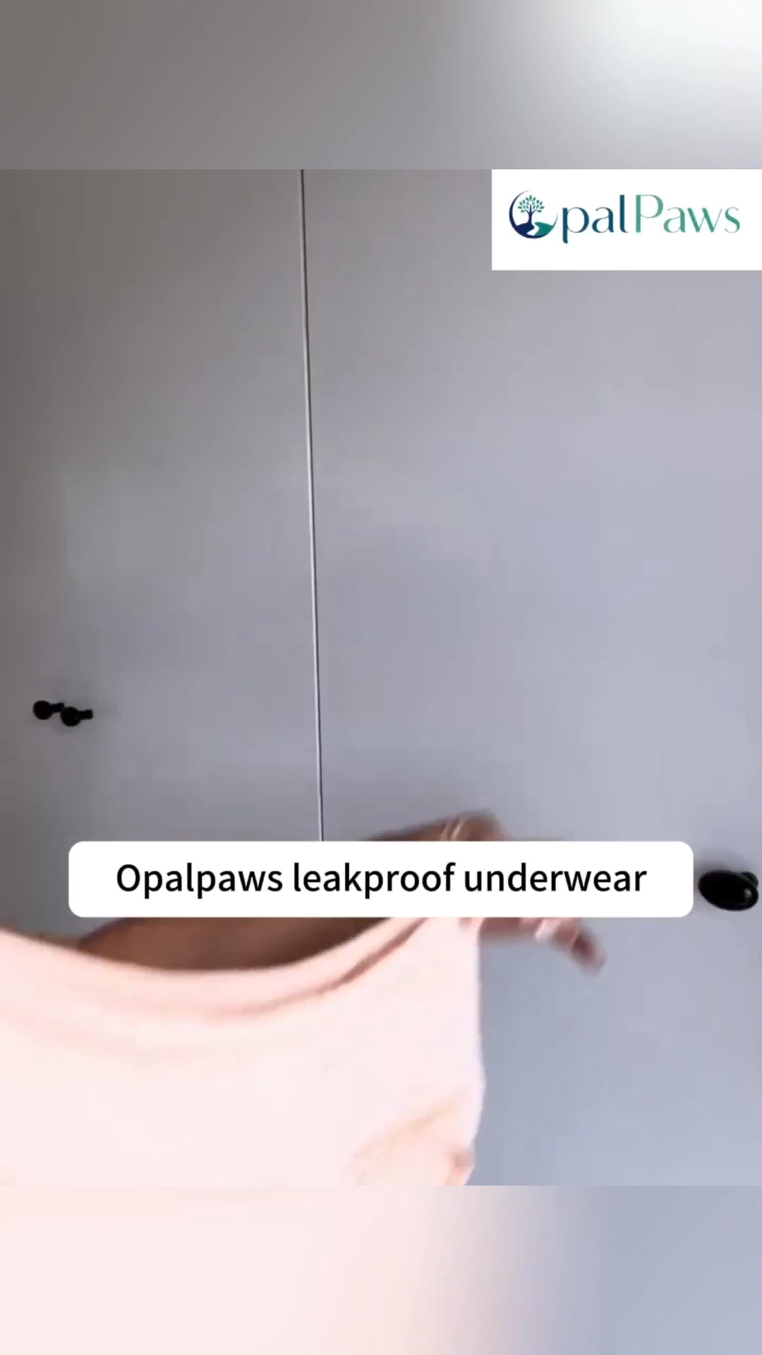 Anúncio de ShopOpalpaws-C2