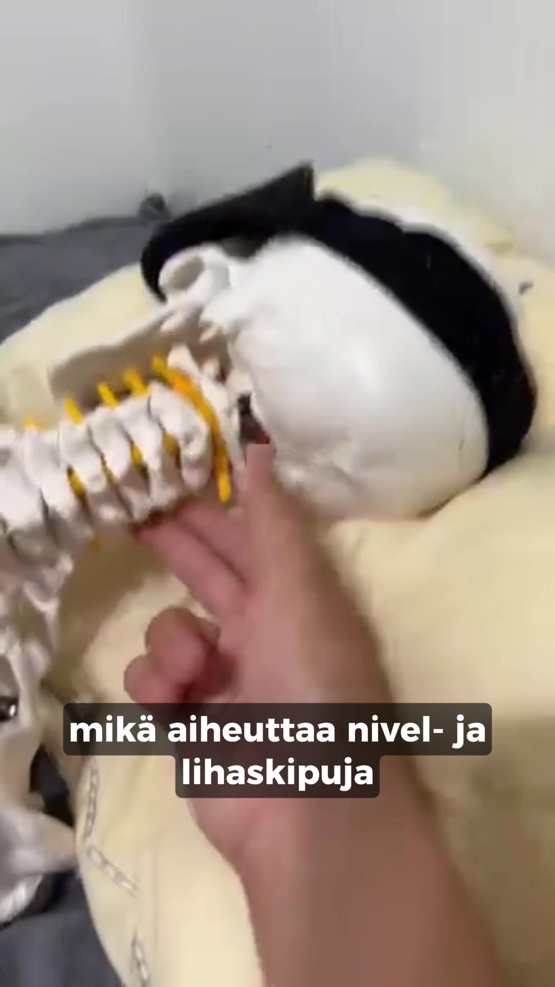 Tänään alennuksessa + Ilmainen toimitus