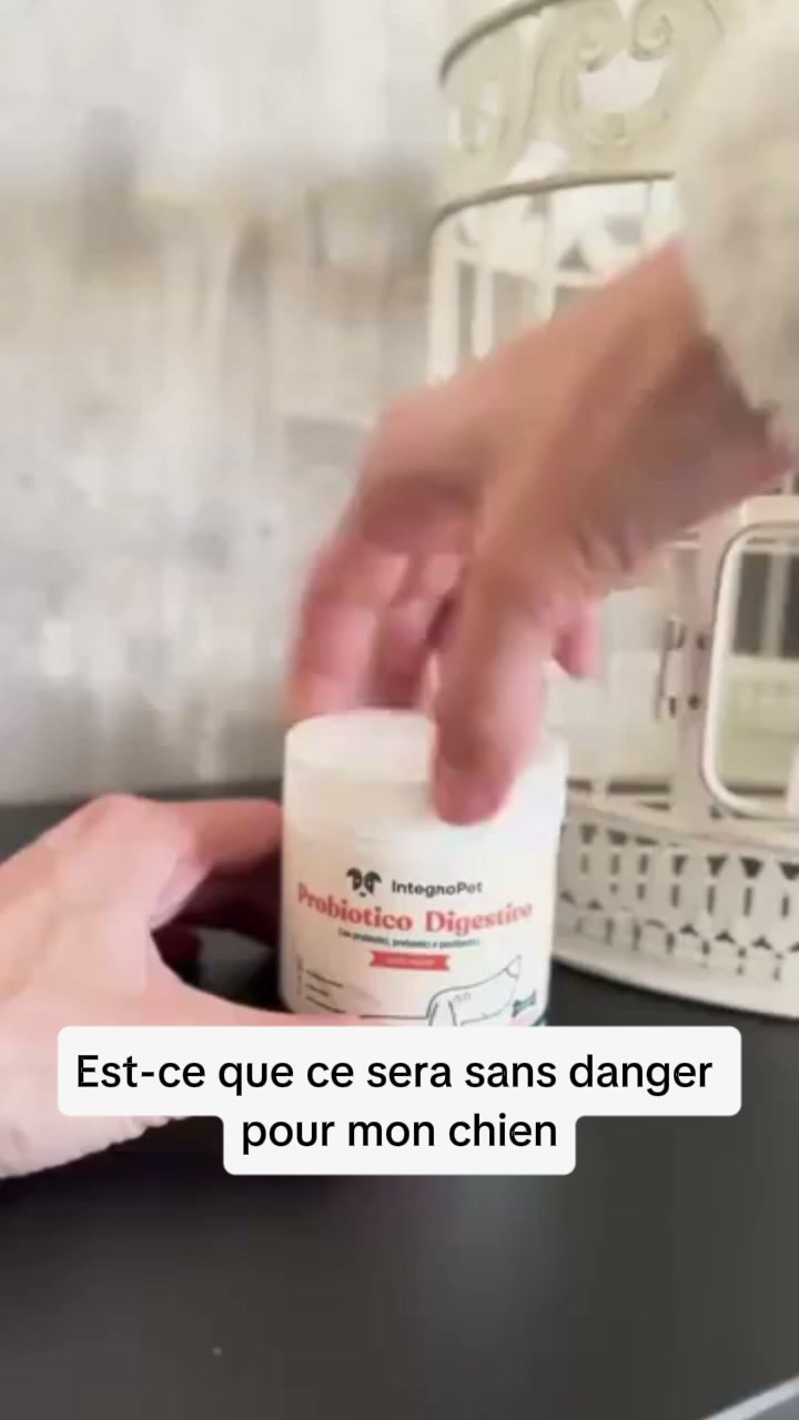 Aide ton chien dès aujourd'hui