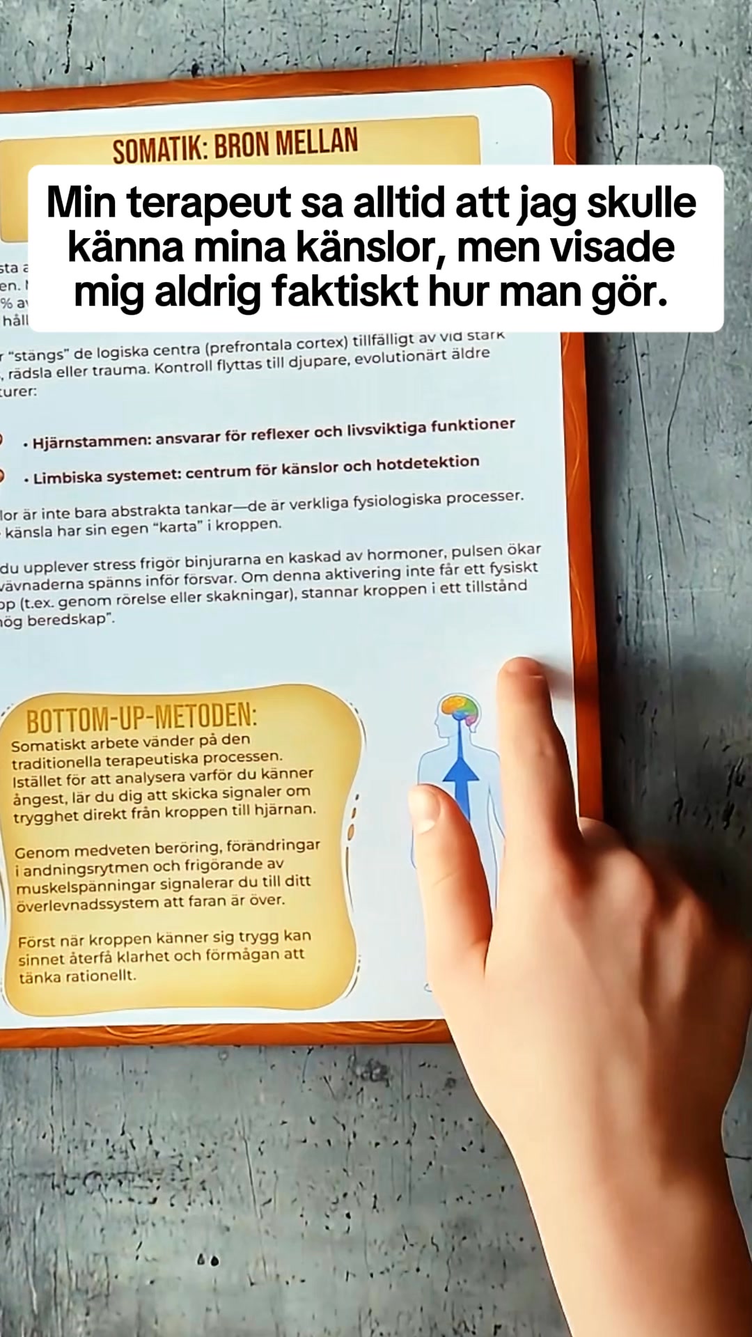 Workbook för Somatisk Terapi