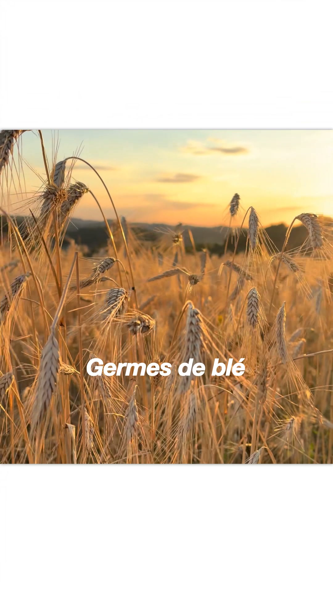 Profite de -10% avec le code : BIENVENUE10