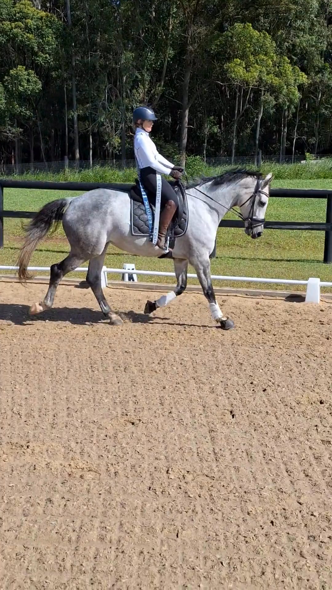 Better Riding Starts Today