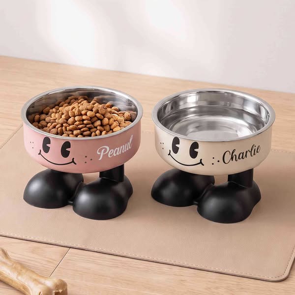 Custom Cartoon Elevated Pet Bowl with Name, Dog/Cat Food & Water Feeder Holder, Raised Neck Protection, Birthday Gift for Pet Lovers/Owners/