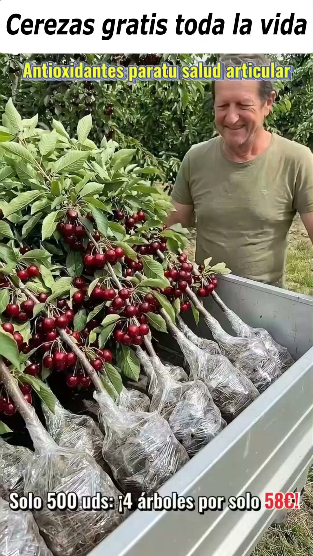 Cerezas gratis toda la vida