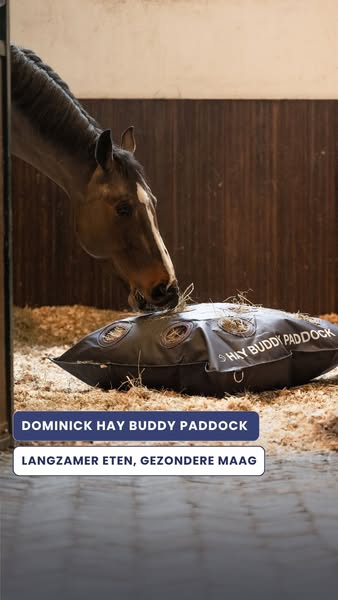 Langzamer eten, gezondere maag