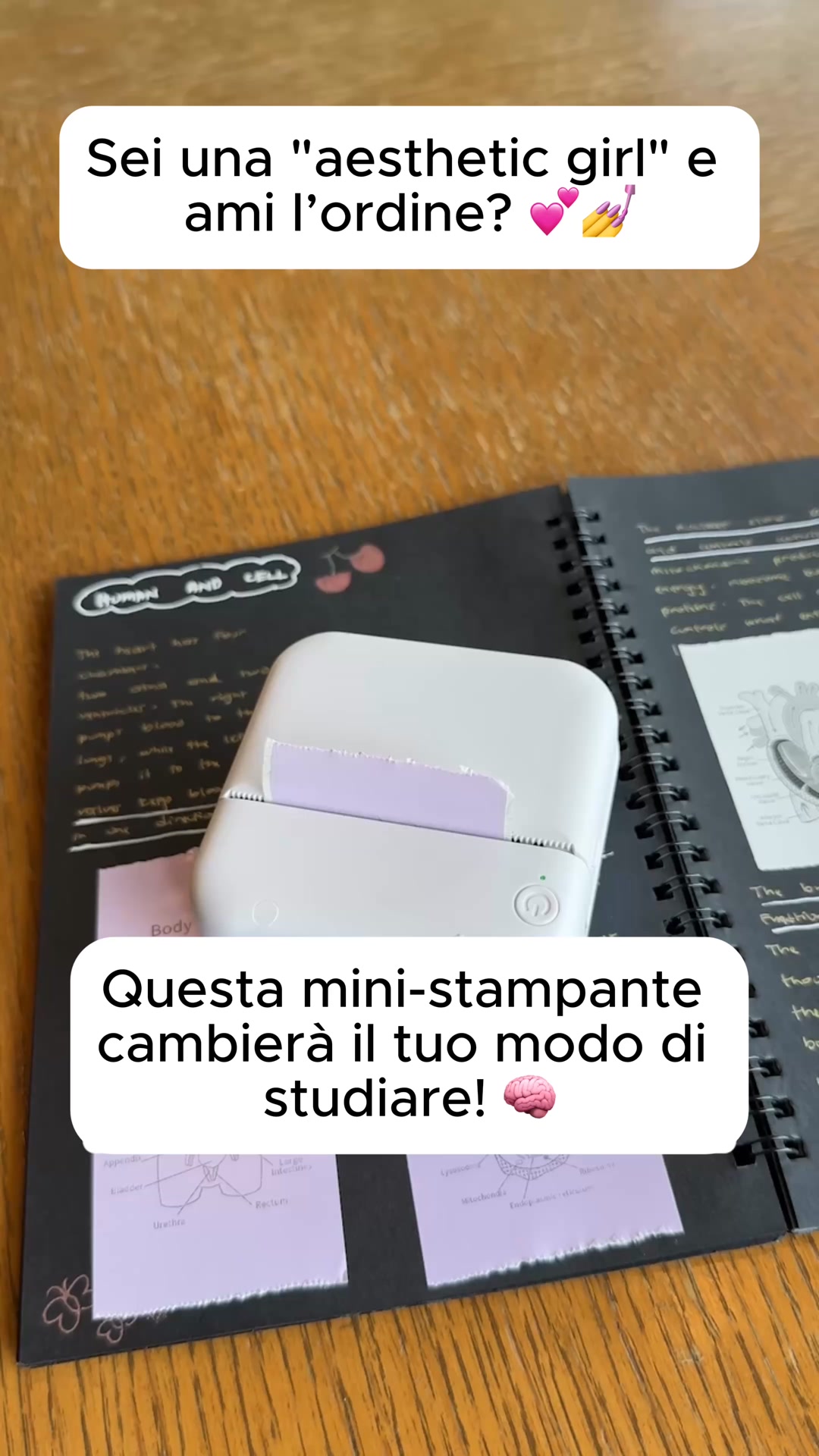 Fino al 70% di SCONTO