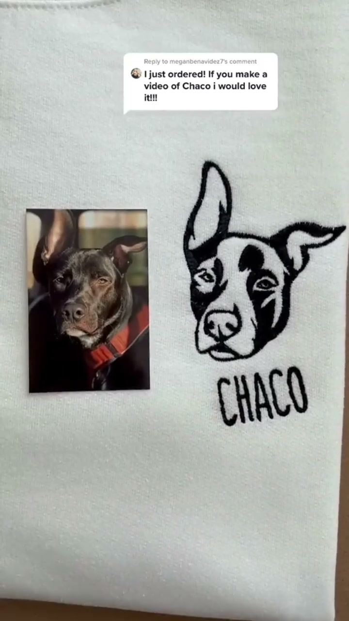 Turn Your Pet Into Minimalist Art
