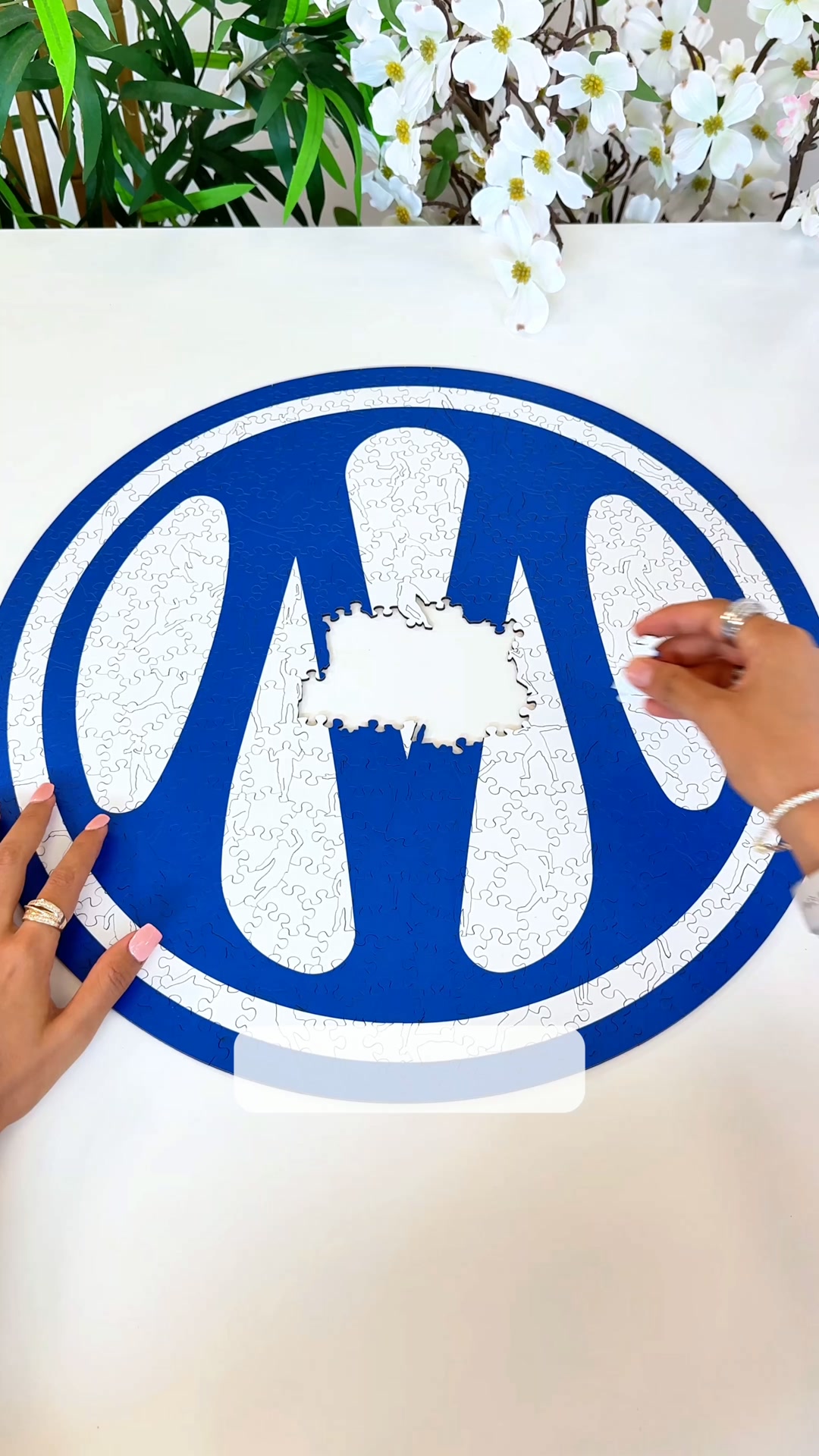 Quel Puzzle Vas-Tu Choisir ?