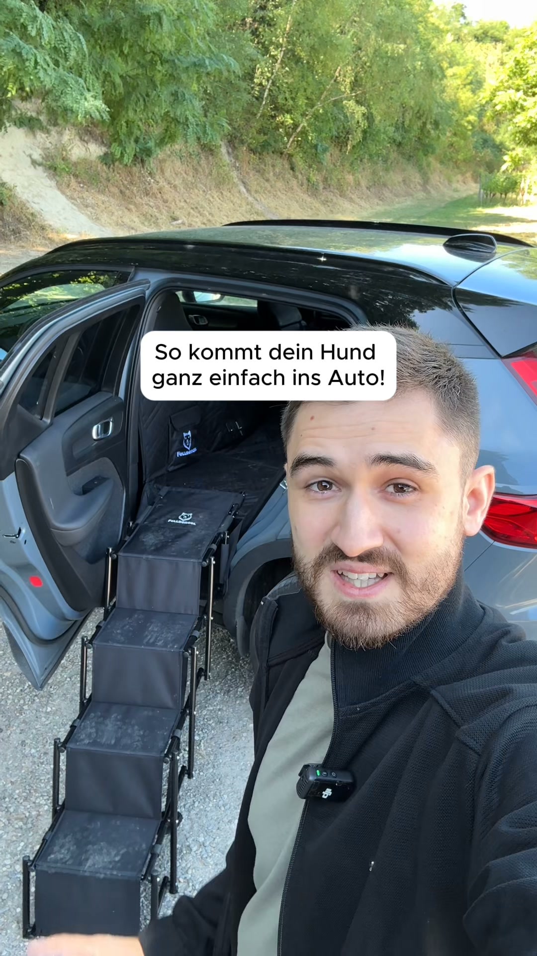 Endlich eine Hundetreppe für die Rückbank