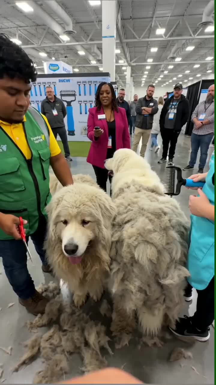 New Pet Pro Grooming Tool