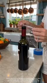 Vacuum Wine Stopper