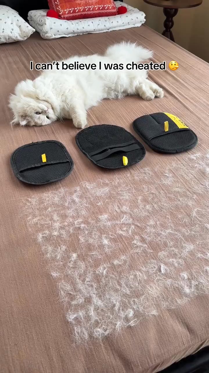 Buy 1 Get 1 FREE!