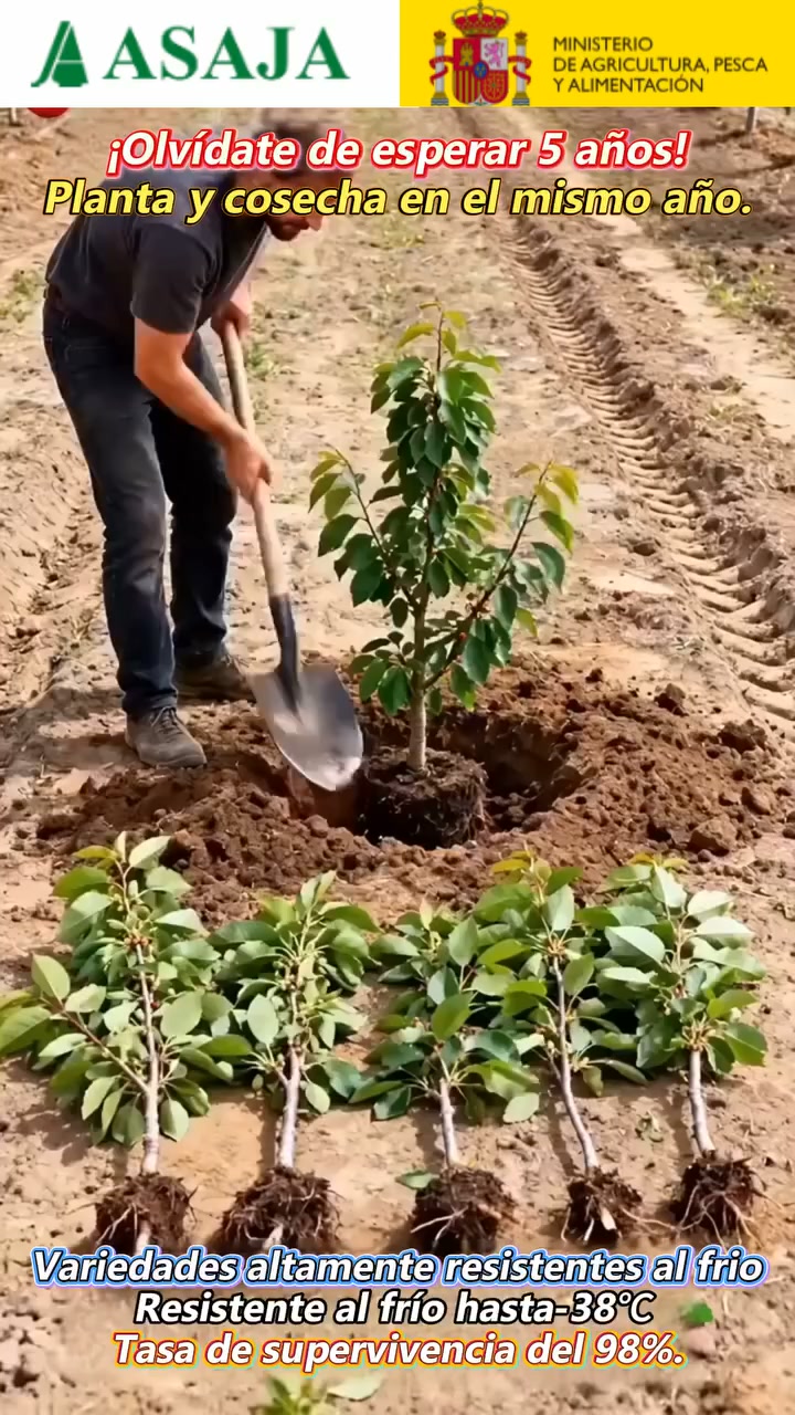 Anúncio de Gadgentnoteapp1