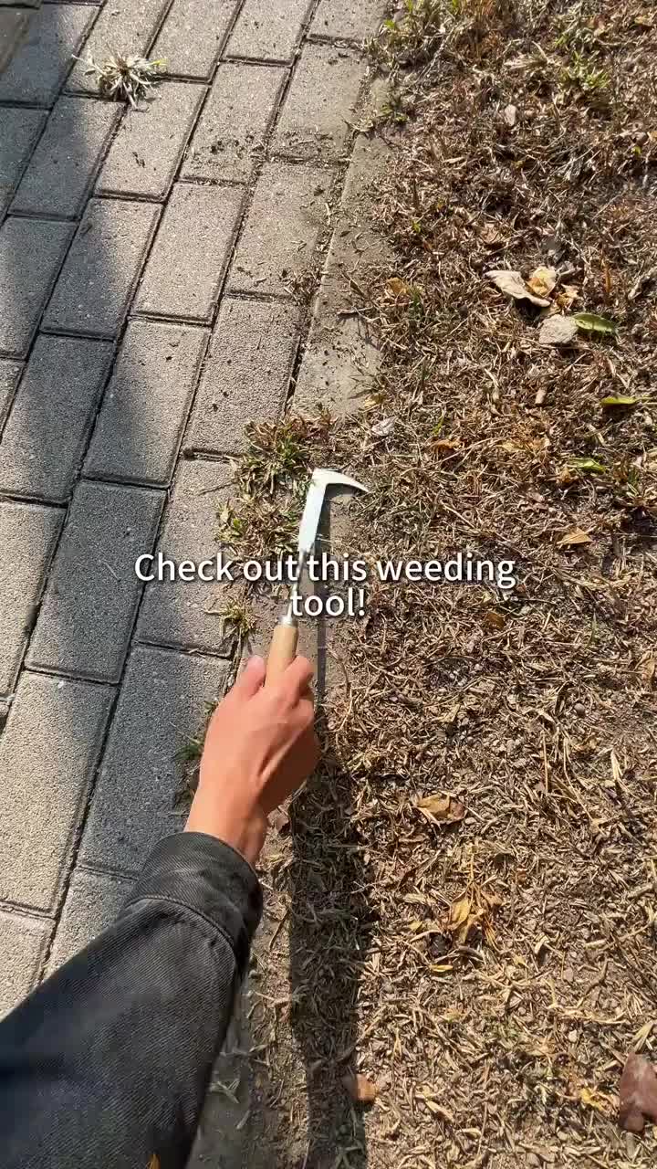 L-Shaped Stainless Steel Crevice Weeding Tool