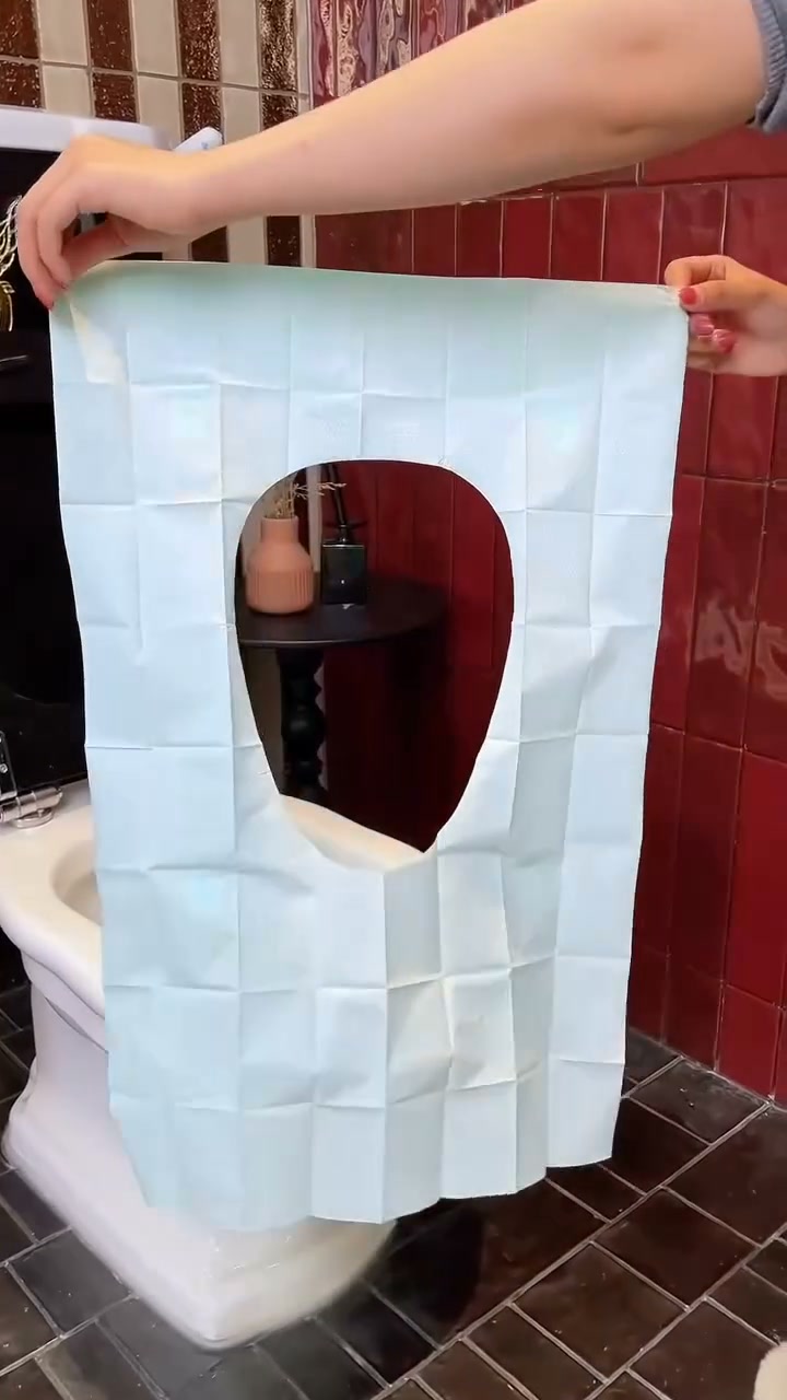 Never Sit Directly on a Public Toilet Again!