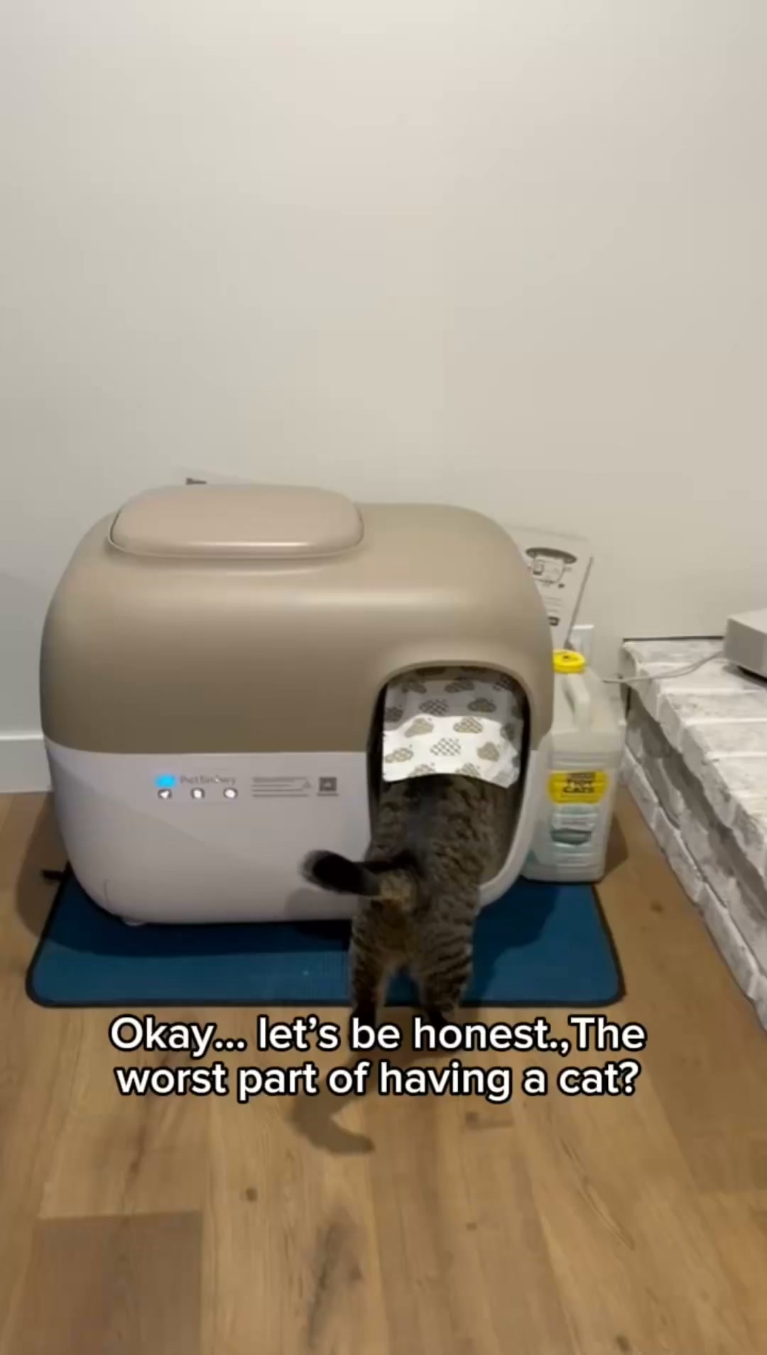 PetSnowy® Automatic Litter Box