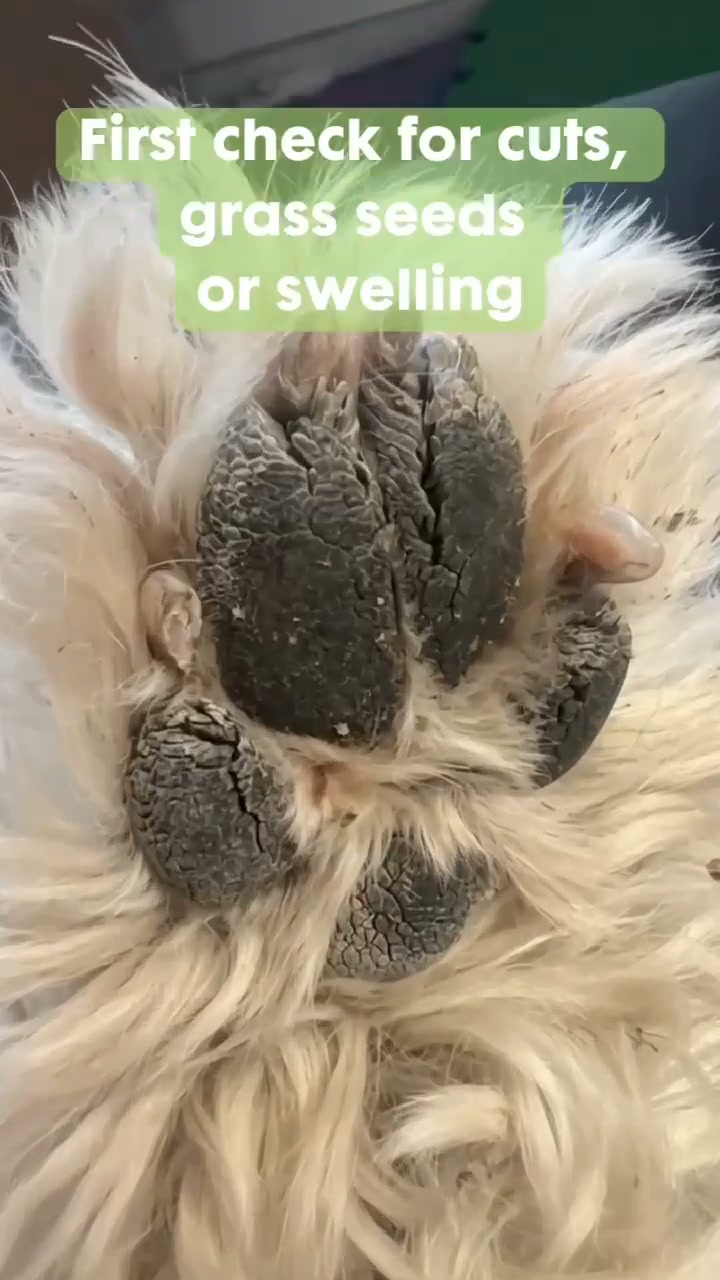 Stinky Stuff