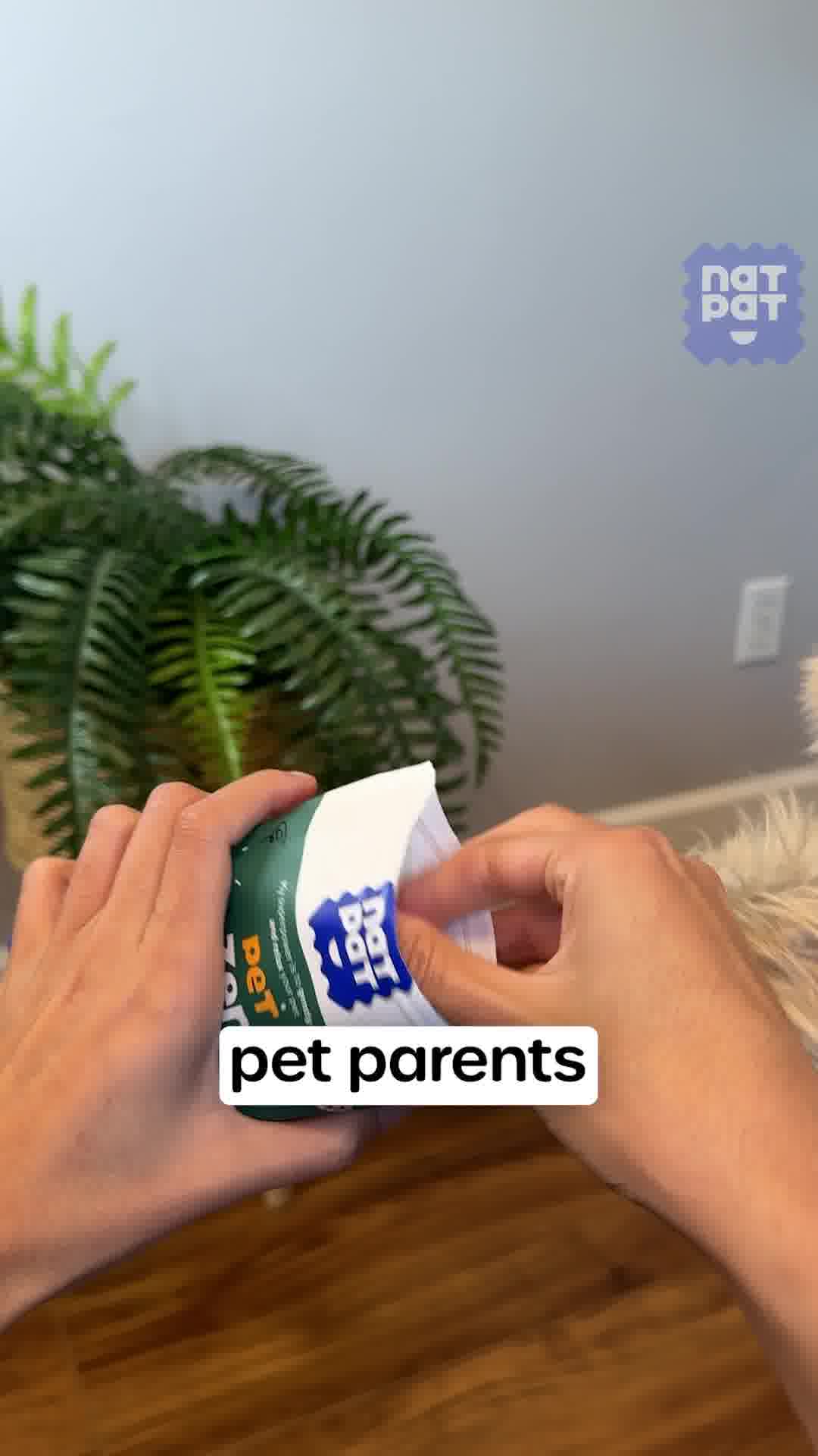 Calm Your Pet, the Natural Way – with ZenPatch!