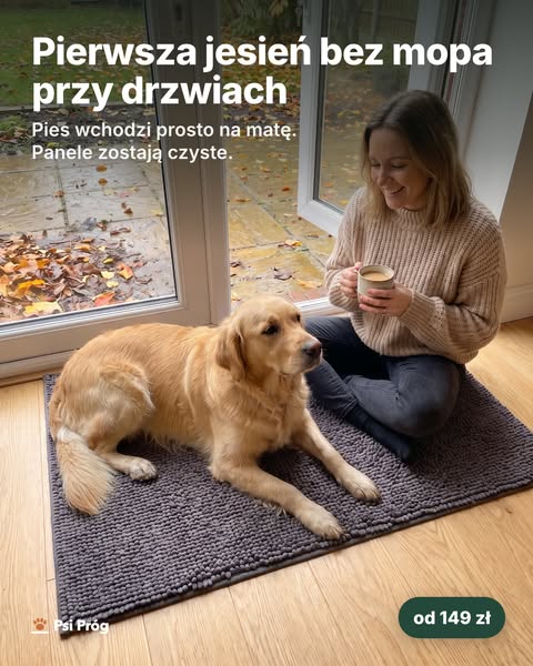 Pies wchodzi, panele zostają czyste