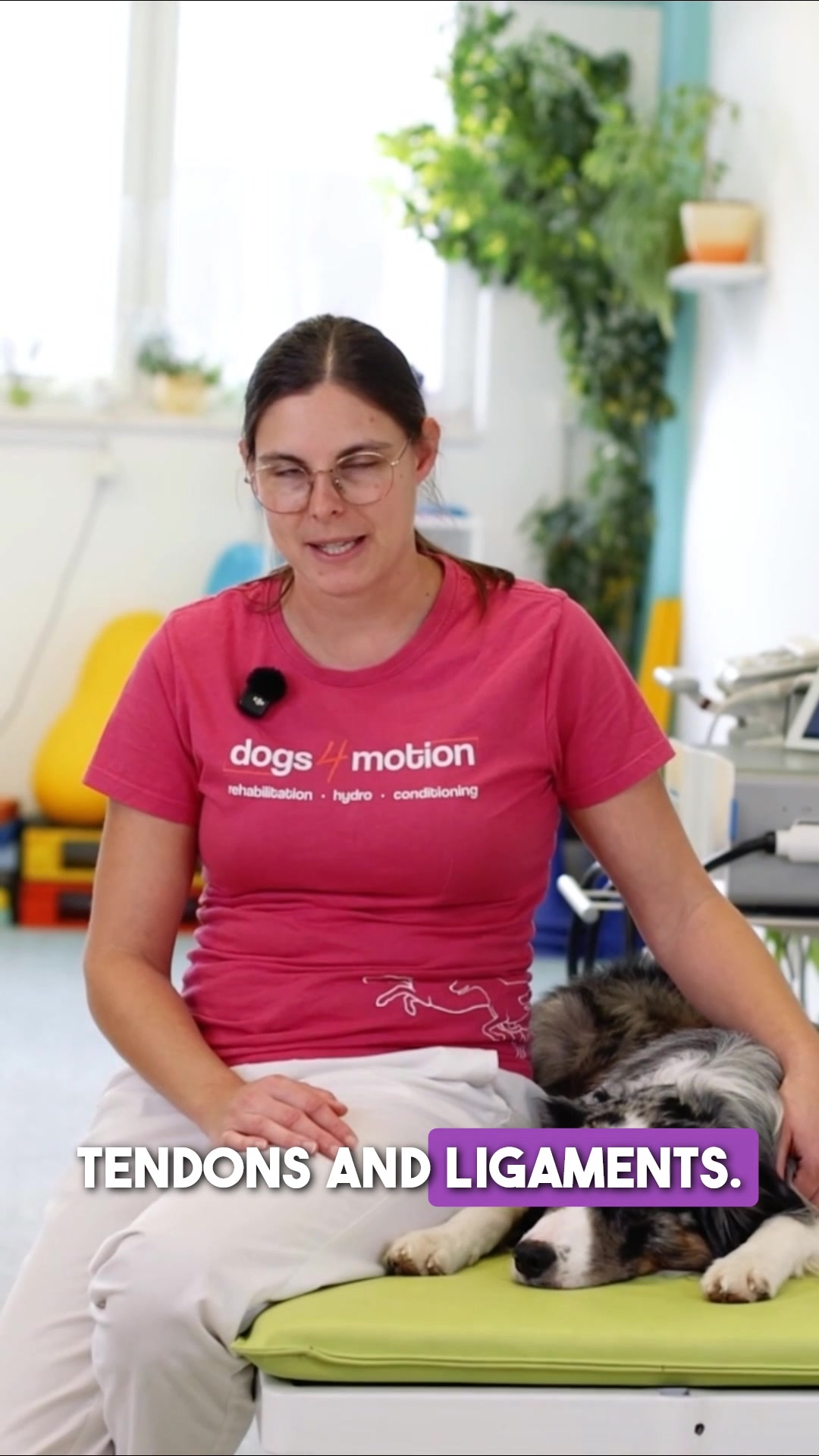 Shoulder Strength for Sport & Active Dogs