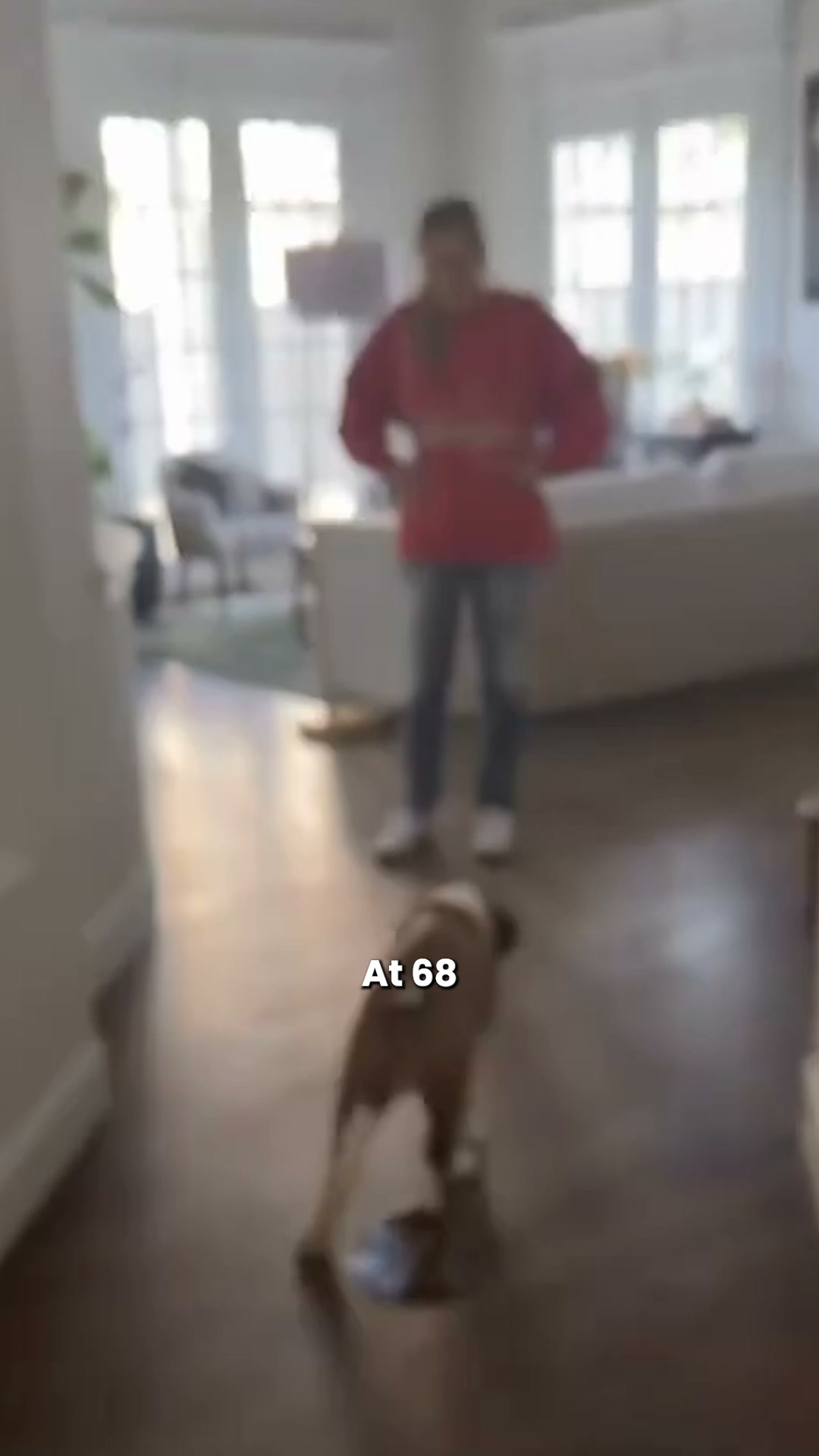 Why Your Dog Pees Indoors