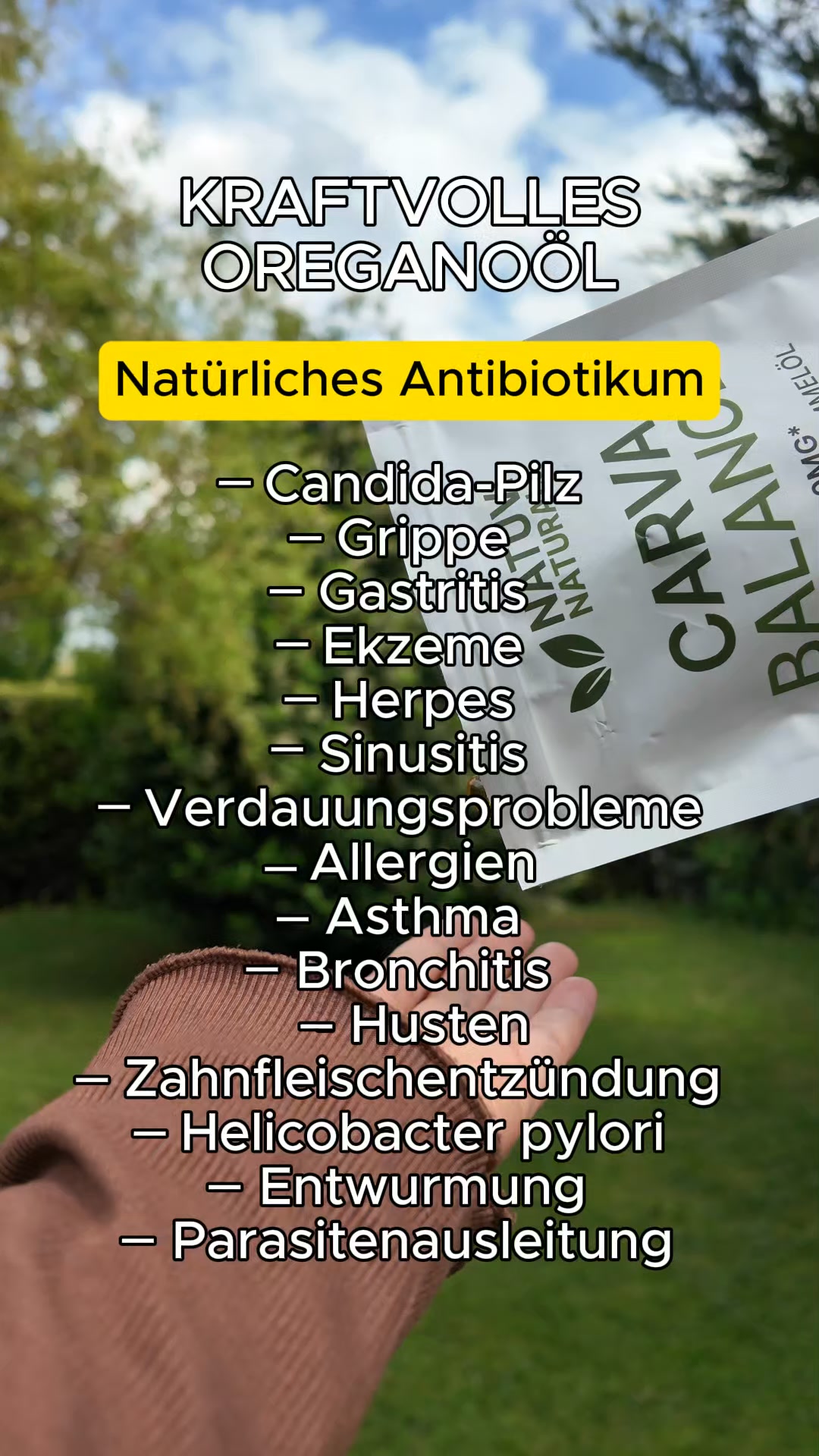 50% RABATT bis Mitternacht