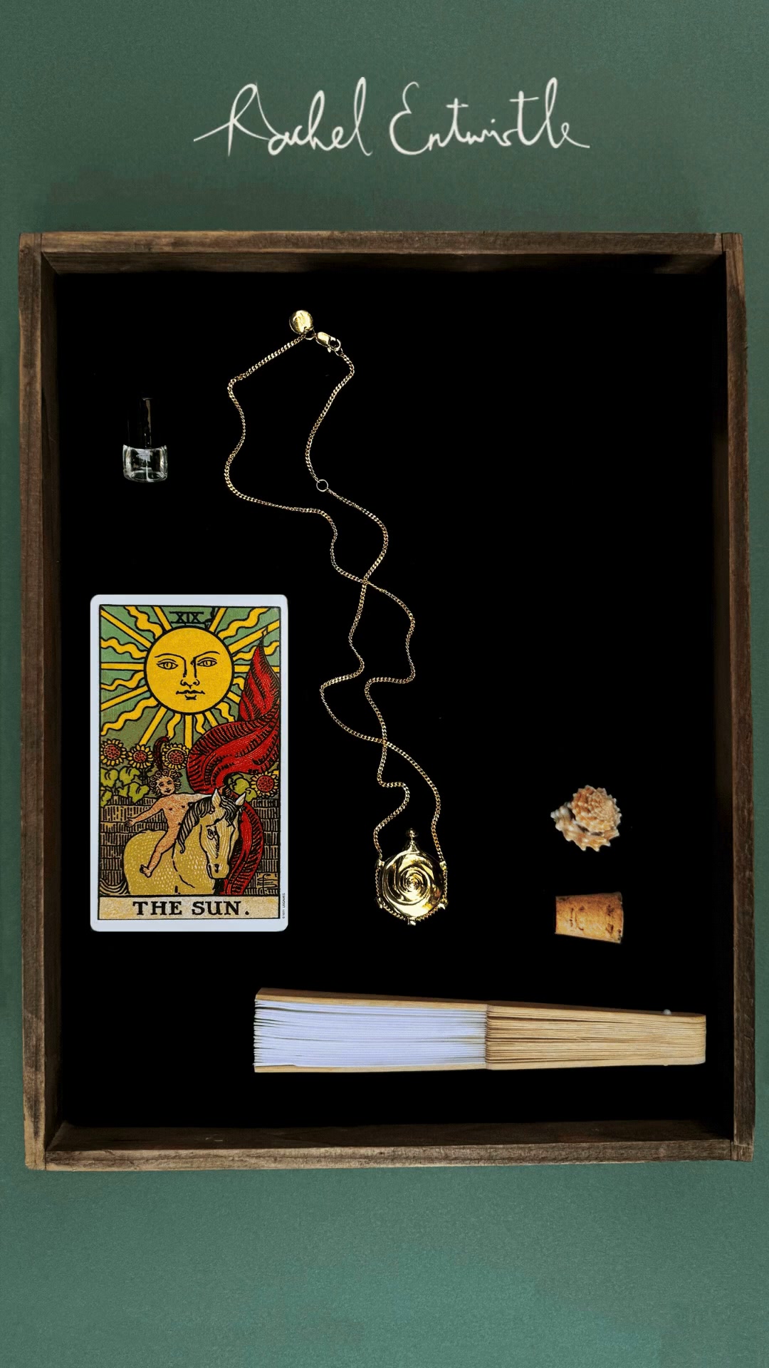 Shop Aphrodite: Venus Rising