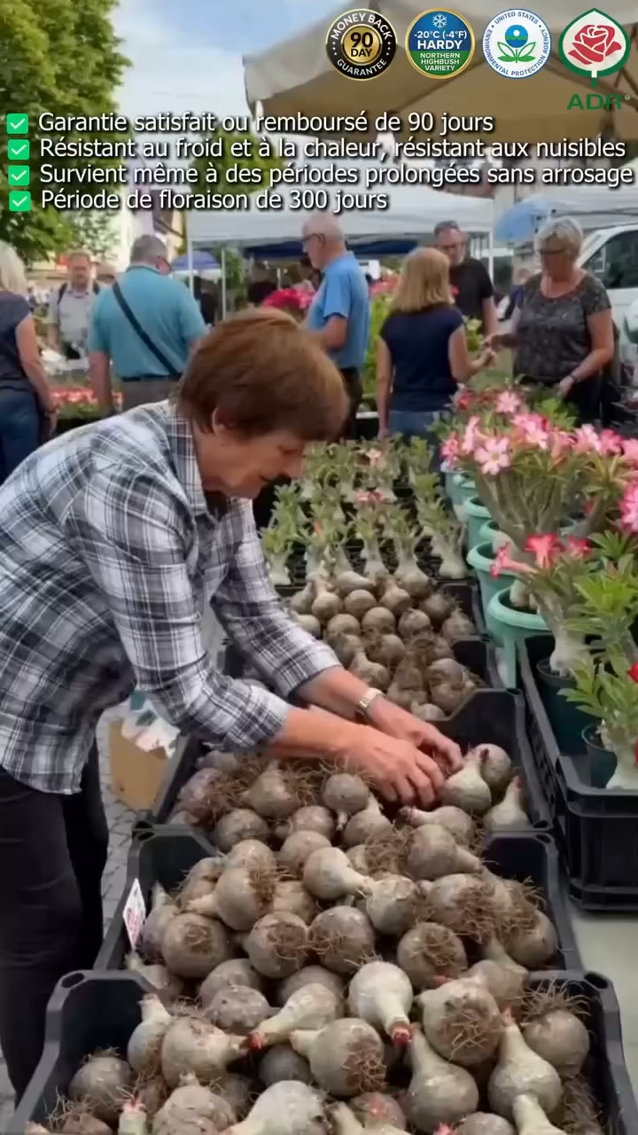 La plante qui ne meurt jamais – arrosez‑la et elle vit 100 ans !