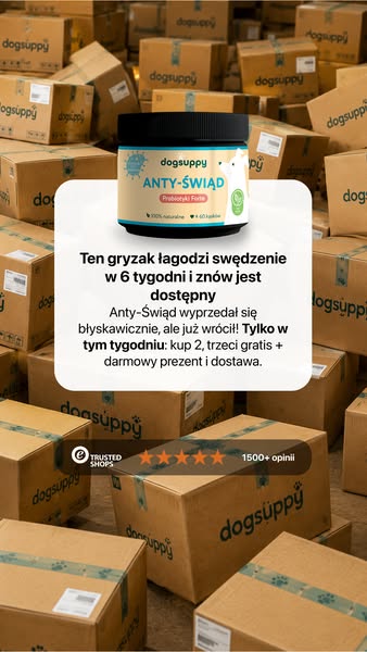 Tylko w tym tygodniu: 2+1 gratis