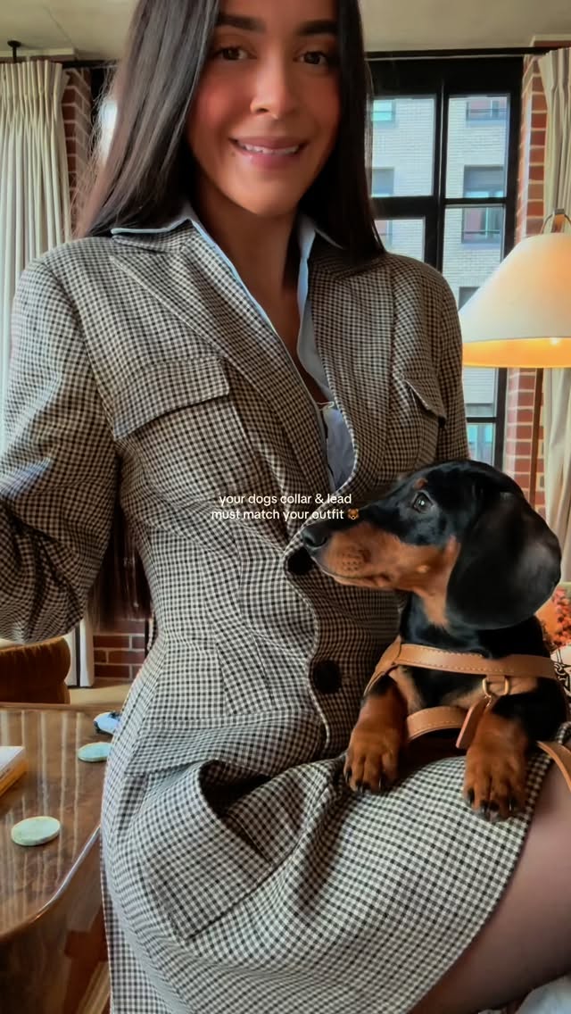 Anúncio de Balou