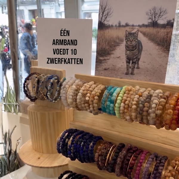Draag hoop. Voed een kat.