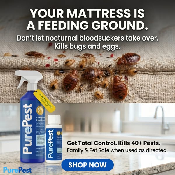 We Put Exterminators Out of Business For $25